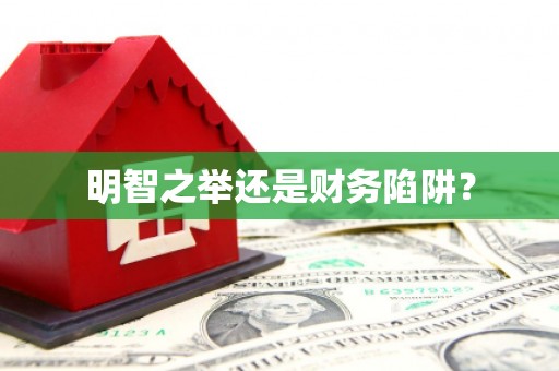 甘孜明智之举还是财务陷阱？