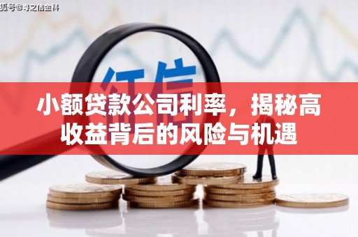 海伦小额贷款公司利率，揭秘高收益背后的风险与机遇
