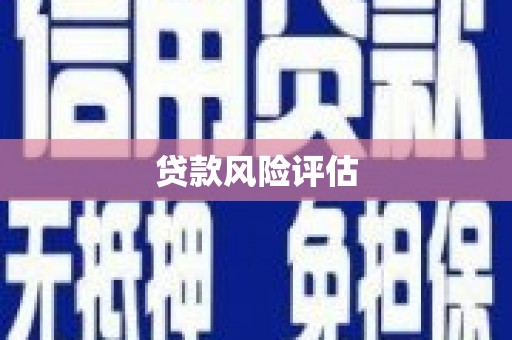 邓州贷款风险评估
