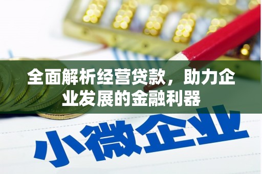 潼南全面解析经营贷款，助力企业发展的金融利器