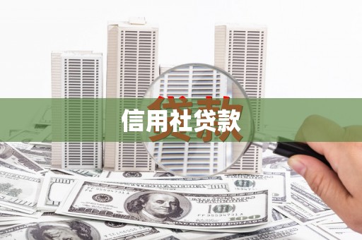 蒙阴信用社贷款