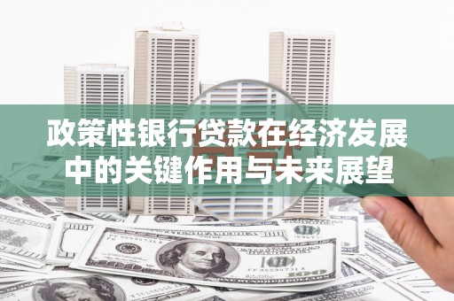 德清政策性银行贷款在经济发展中的关键作用与未来展望