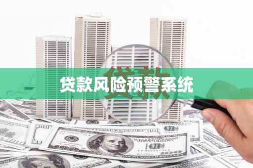 振兴贷款风险预警系统