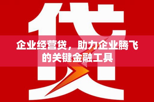 惠安企业经营贷，助力企业腾飞的关键金融工具