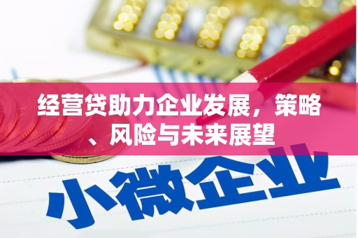 浪卡子经营贷助力企业发展，策略、风险与未来展望