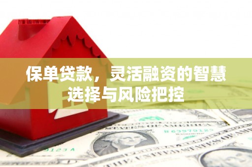 阜宁保单贷款，灵活融资的智慧选择与风险把控