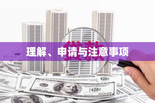 任城理解、申请与注意事项