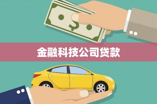 梅列金融科技公司贷款