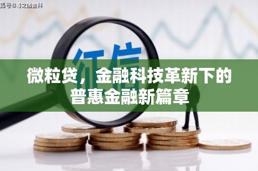 潍城微粒贷，金融科技革新下的普惠金融新篇章