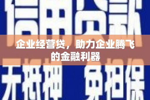 平南企业经营贷，助力企业腾飞的金融利器