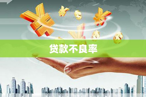 广河贷款不良率