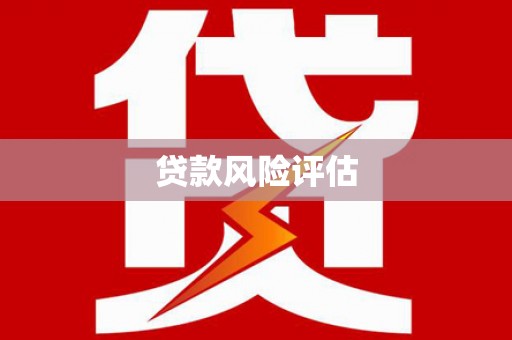 潭子贷款风险评估