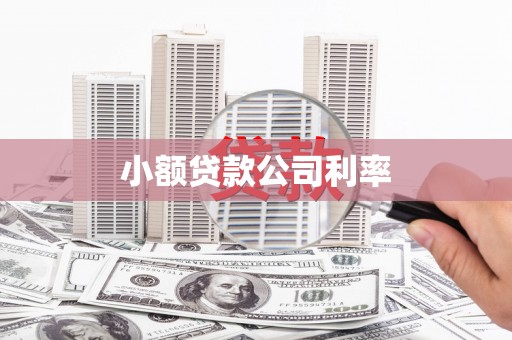 泌阳小额贷款公司利率