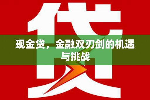 小店现金贷，金融双刃剑的机遇与挑战