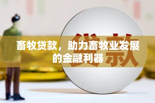泗礁畜牧贷款，助力畜牧业发展的金融利器