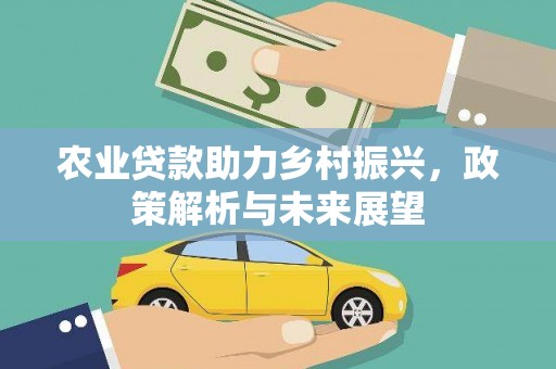 禅城农业贷款助力乡村振兴，政策解析与未来展望