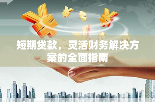 志丹短期贷款，灵活财务解决方案的全面指南