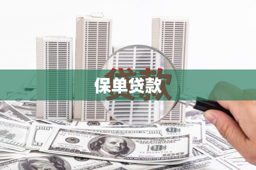 明山保单贷款