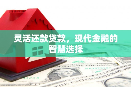 武义灵活还款贷款，现代金融的智慧选择