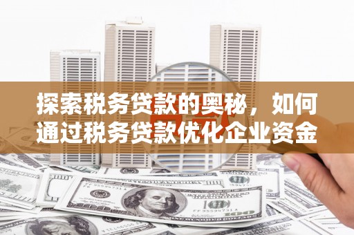 吕梁探索税务贷款的奥秘，如何通过税务贷款优化企业资金流
