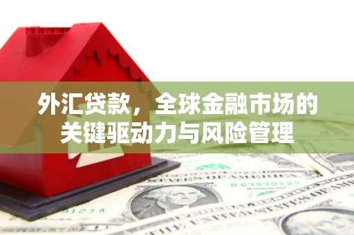景东外汇贷款，全球金融市场的关键驱动力与风险管理