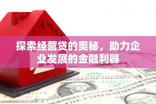 阿莲探索经营贷的奥秘，助力企业发展的金融利器