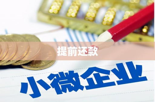 桃江提前还款