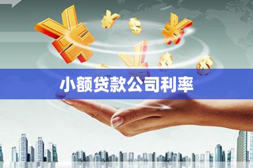 雁塔小额贷款公司利率