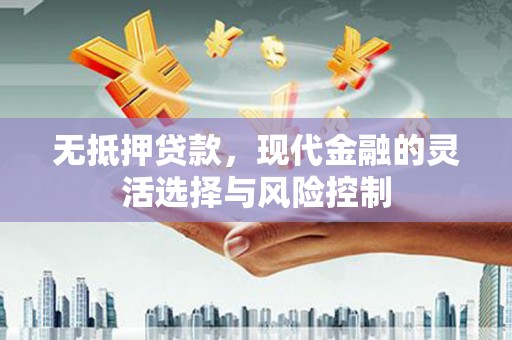 惠济无抵押贷款，现代金融的灵活选择与风险控制