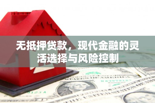 赫山无抵押贷款，现代金融的灵活选择与风险控制