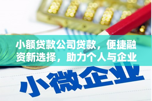 阳东小额贷款公司贷款，便捷融资新选择，助力个人与企业成长