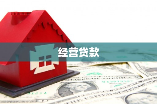 广南经营贷款