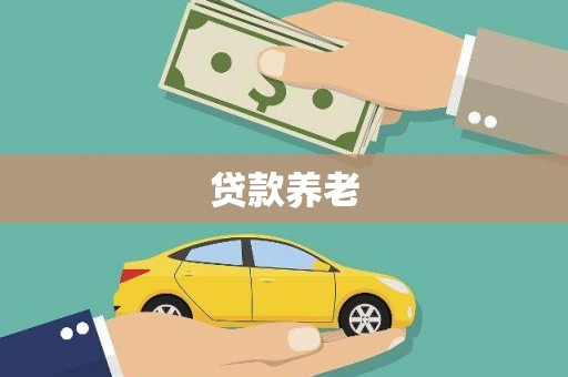 湖里贷款养老