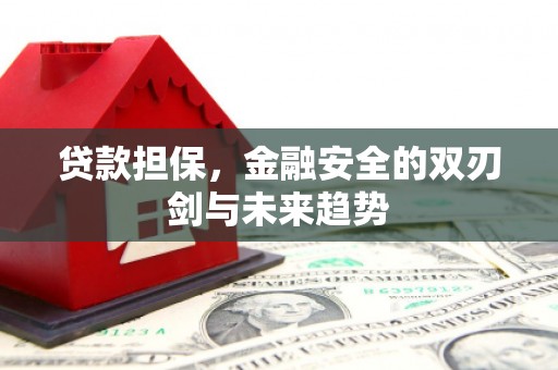 清河门贷款担保，金融安全的双刃剑与未来趋势