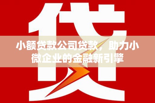 团风小额贷款公司贷款，助力小微企业的金融新引擎