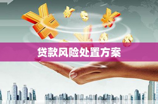 丰顺贷款风险处置方案