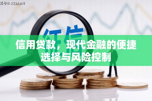 武安信用贷款，现代金融的便捷选择与风险控制