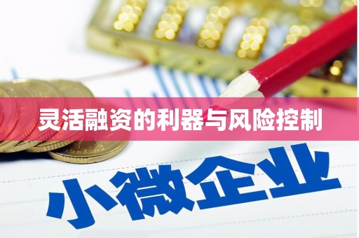 宝兴灵活融资的利器与风险控制