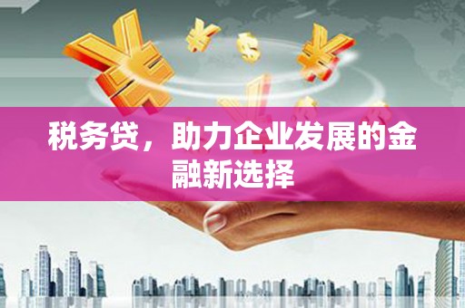 海盐税务贷，助力企业发展的金融新选择
