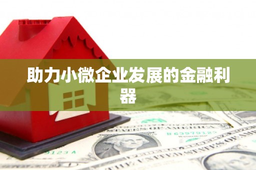 黟县助力小微企业发展的金融利器