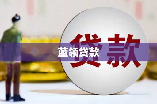 普湾新区蓝领贷款