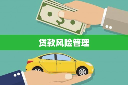青羊贷款风险管理
