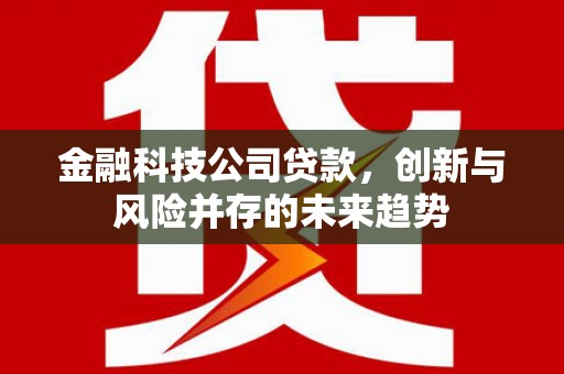 三星金融科技公司贷款，创新与风险并存的未来趋势