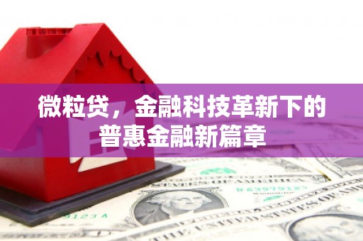莱山微粒贷，金融科技革新下的普惠金融新篇章