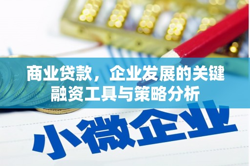 石龙商业贷款，企业发展的关键融资工具与策略分析
