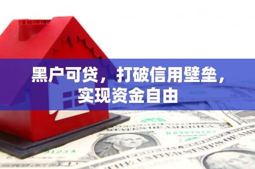 玉树黑户可贷，打破信用壁垒，实现资金自由