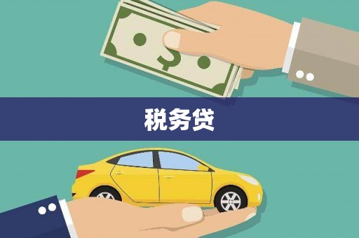 三元税务贷