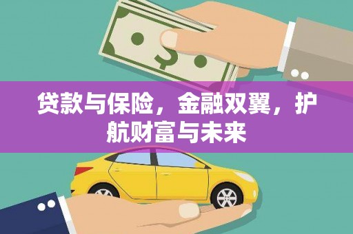 分宜贷款与保险，金融双翼，护航财富与未来