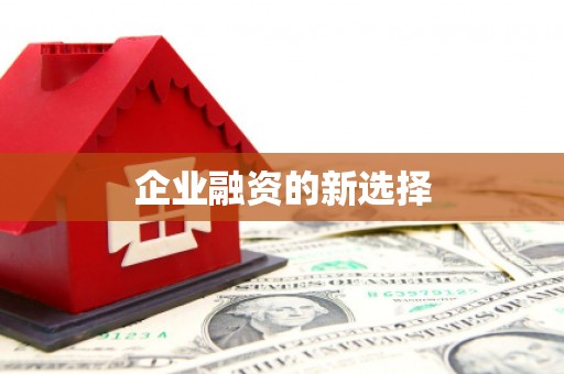 贞丰企业融资的新选择