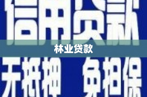 城关林业贷款